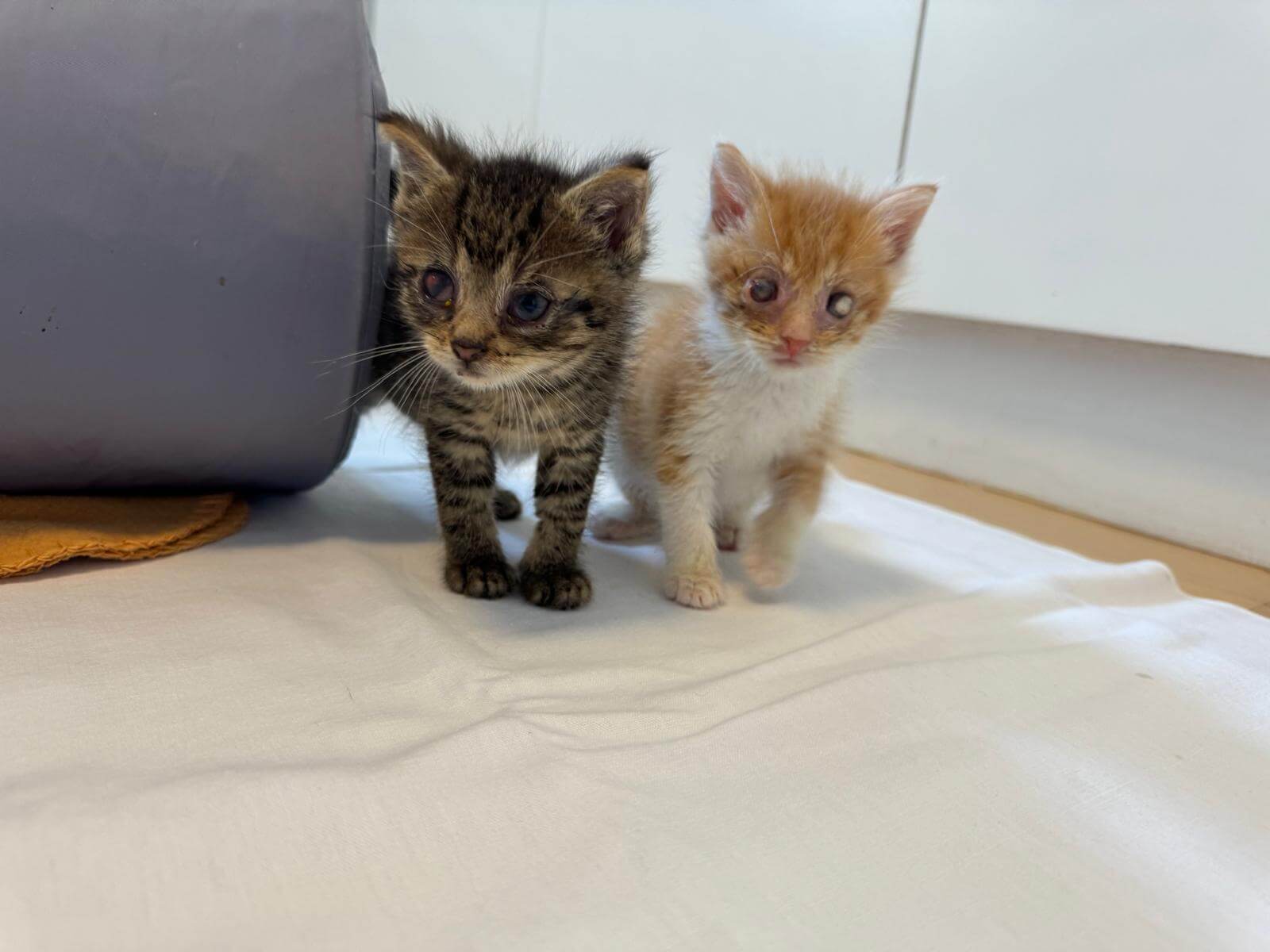 Rudi und Max juni